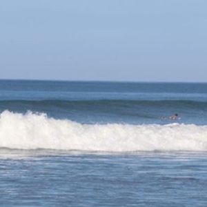 Meet your Posher, Liv